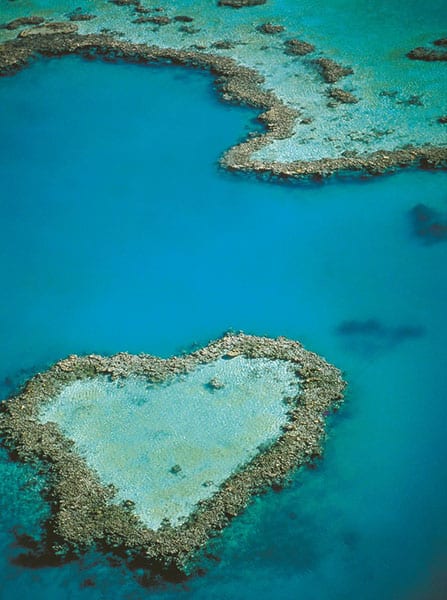 love-reef