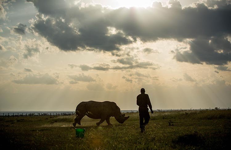 Meet The Loneliest Animal On Earth