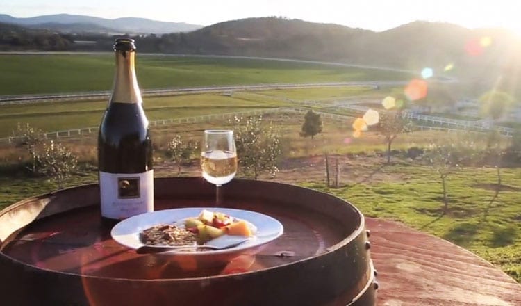 Giddy Up! Get Trackside at Gooree Park, Mudgee, for The Melbourne Cup