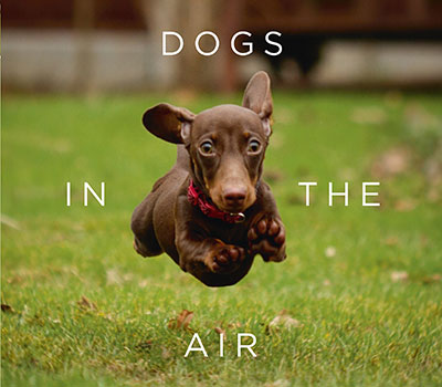 Dogs-in-the-Air