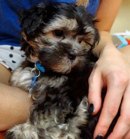 The Bachelorette's Sam And Sasha Welcome New 'Baby'