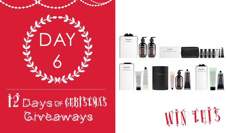 12 Days Of Christmas giveaway