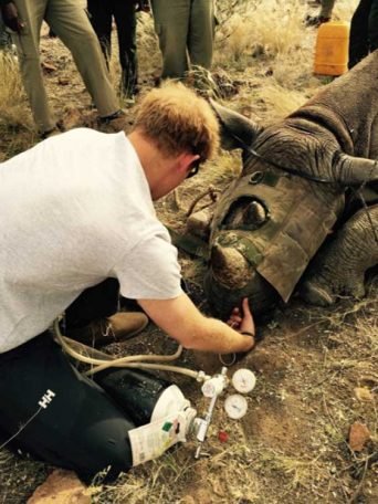 Prince Harry Releases First Official Christmas Card