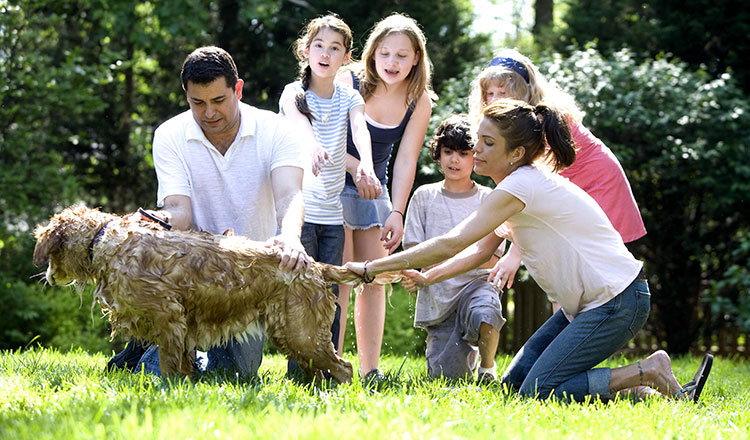 Why Family Pet Ownership is Declining
