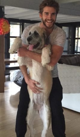 Liam Hemsworth with Dog