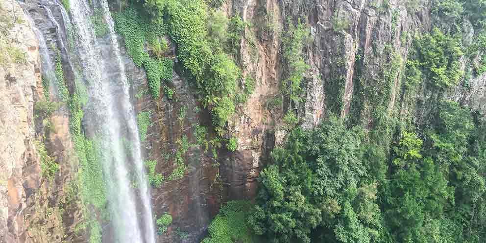 Queensland Road Trip and Camping at the Parkes Elvis Festival in the Audi Q3 Audi Q3 Road Trip Finds Elvis Festival 2