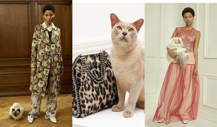 Fashion Hits: Stella McCartney, Zoolander, Vans, Vogue & More