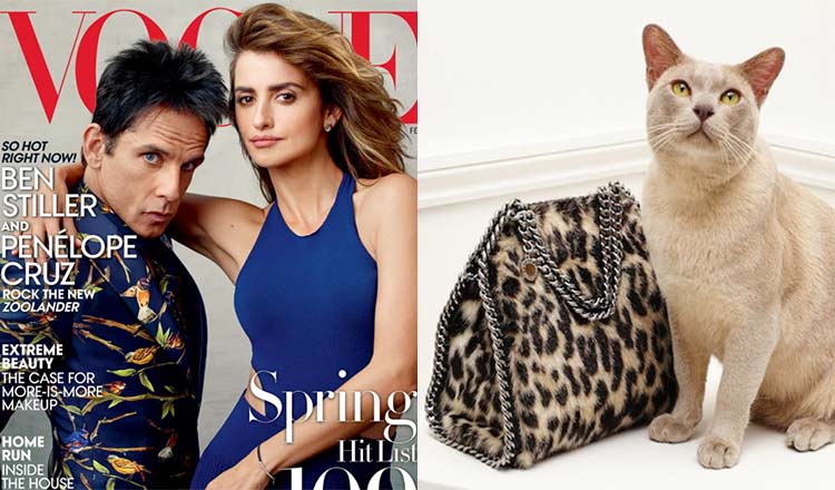Fashion Hits: Stella McCartney, Zoolander, Vans, Vogue & More