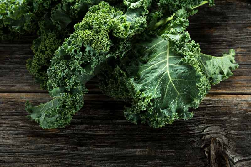 8 Best Super Foods: Kale, Coconut Oil, Acai & More