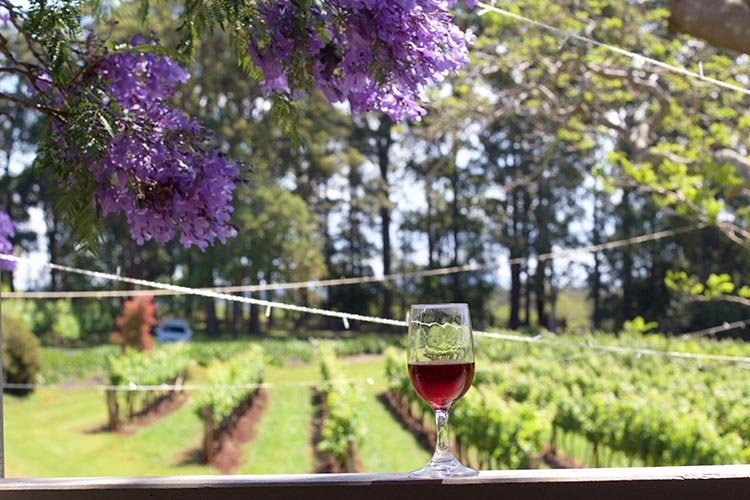 innes-lake-wine-nsw-port-macquarie