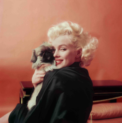 Marilyn Monroe Iconic Photos London 4