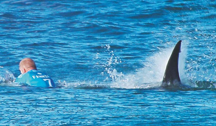 Mick Fanning Surfer split wife