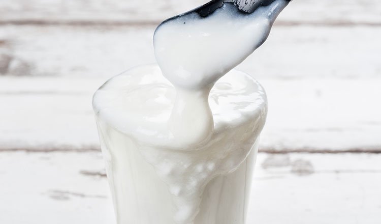 Foods Help Lose Weight Greek Yogurt