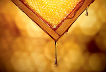 the-caorusel-honey