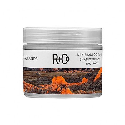 r+co dry shampoos