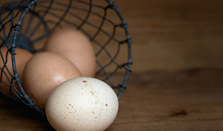 'Free-Range' Eggs May Not Be What You Think1