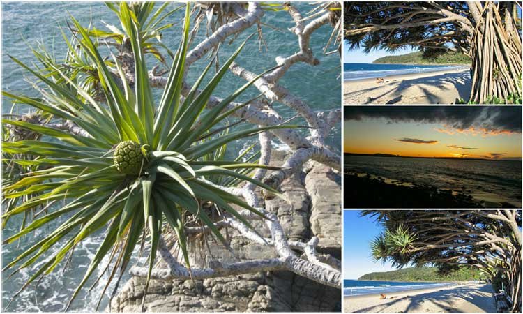 Hidden Aussie Gems: First Timer’s Guide To Noosa5
