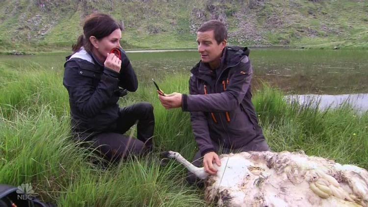 Courteney Cox Confesses: I Regret Having Procedures4