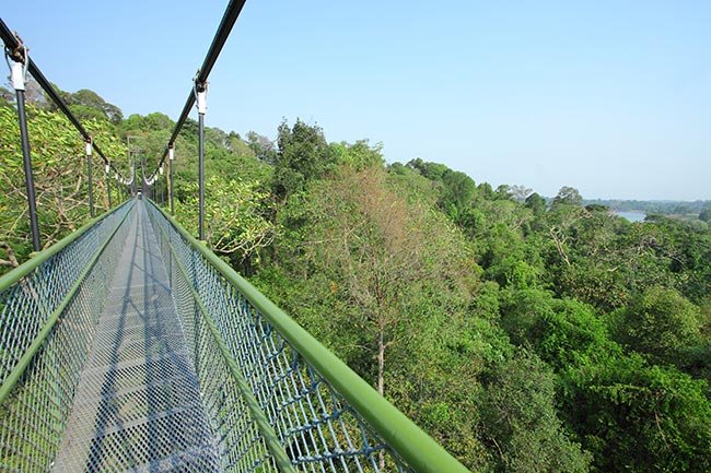 the-carousel-macritchie-singapore-