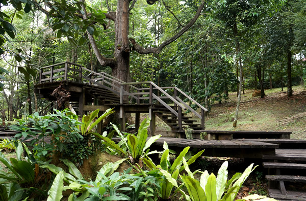 Screen Shot 2016-09-05 at 2.02.41 pm