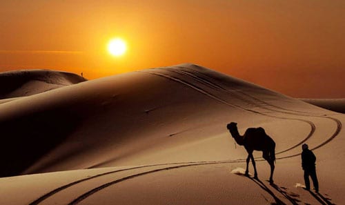 Scorpios can indulge their adventurous zodiac tendancies in the desert