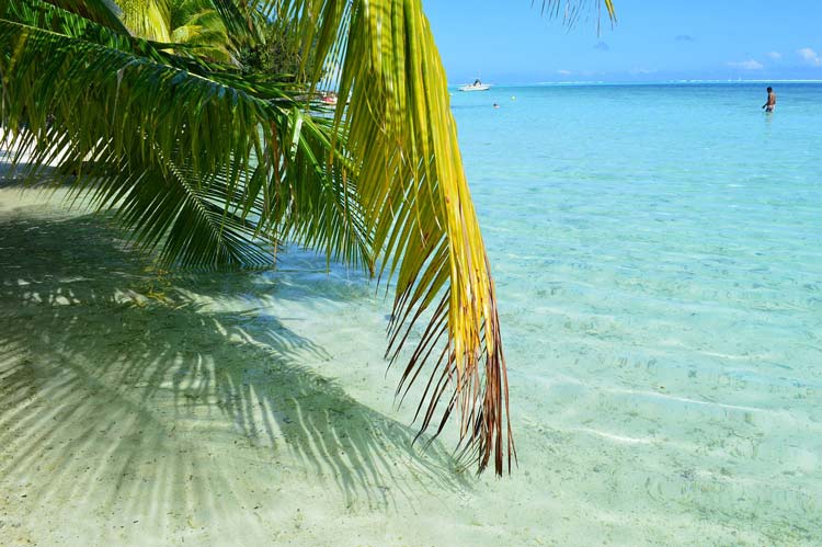 Bora Bora beaches and beauty