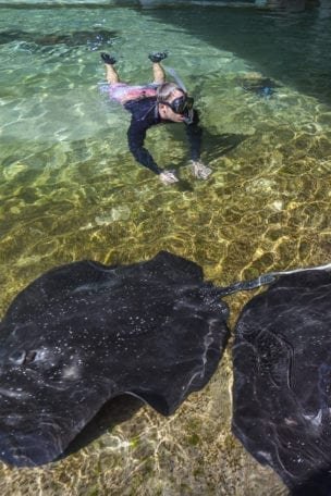 Snorkeling in Dreaming Island