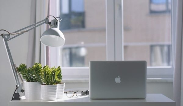 Set up your workplace with lights and plants