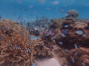 Snorkeling time