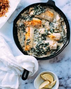 fish plate
