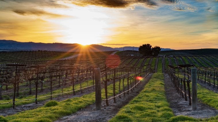 A getaway to the hunter valley