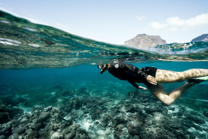 snorkelling, coral reefs 