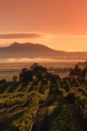Grampians