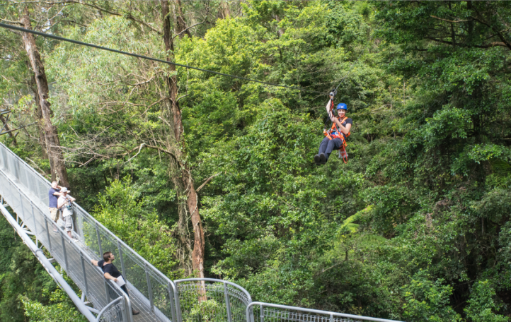 Illawarra, adventures