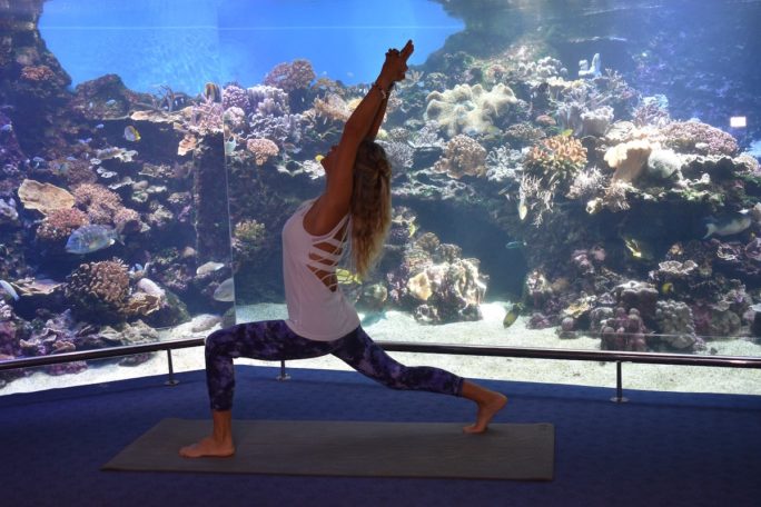 Aquarium yoga New Caledonia
