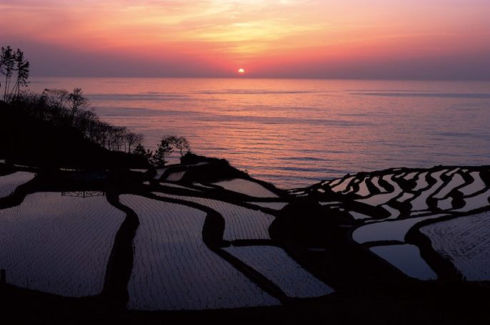 Senmeida Rice Fields, Japan