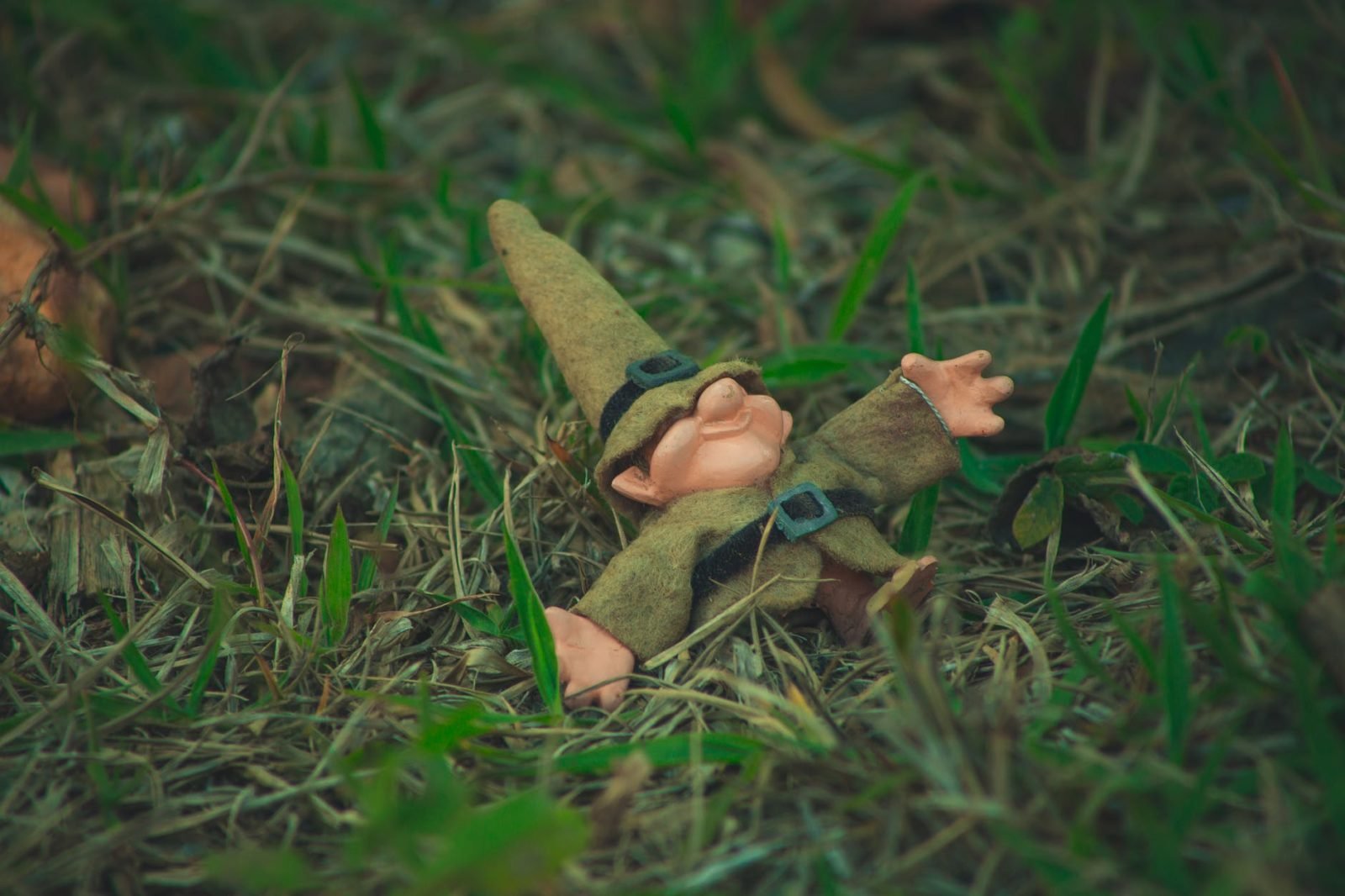 little dwarf doll lying in grass