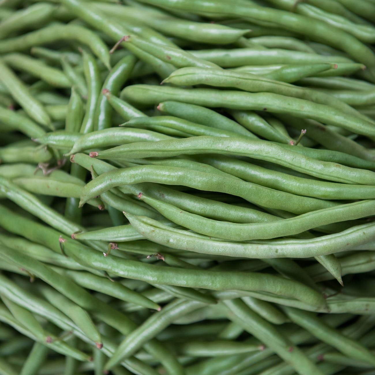 close up photo of raw green beans