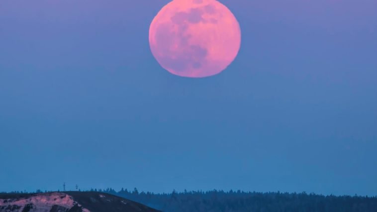 Pink Supermoon