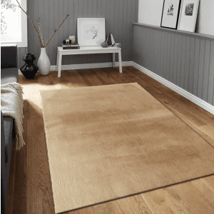 carpet court
