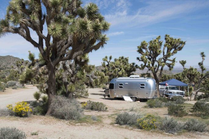 Black Rock Canyon Campground in Joshua Tree National Park Road Trip
