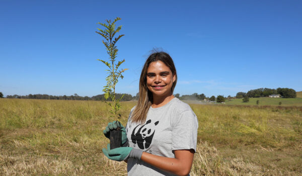 sam harris planting trees for habitat rehabilitation