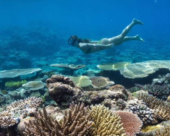 Eco Travel Destination Palau