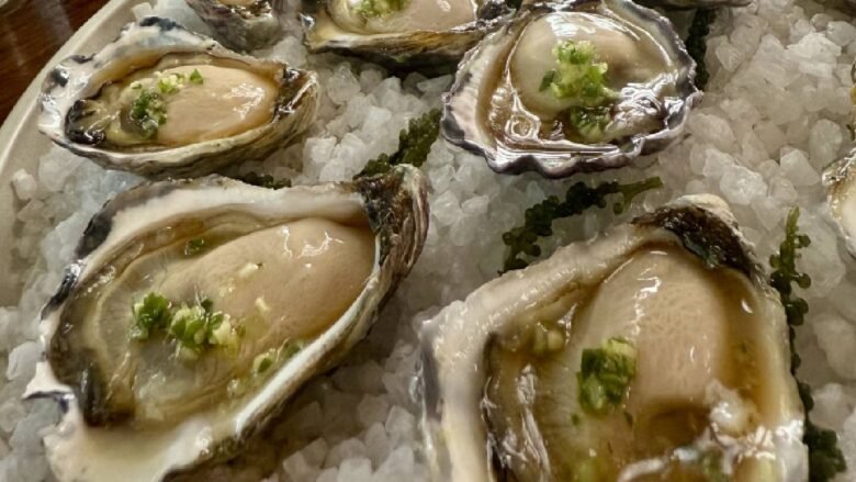 oysters