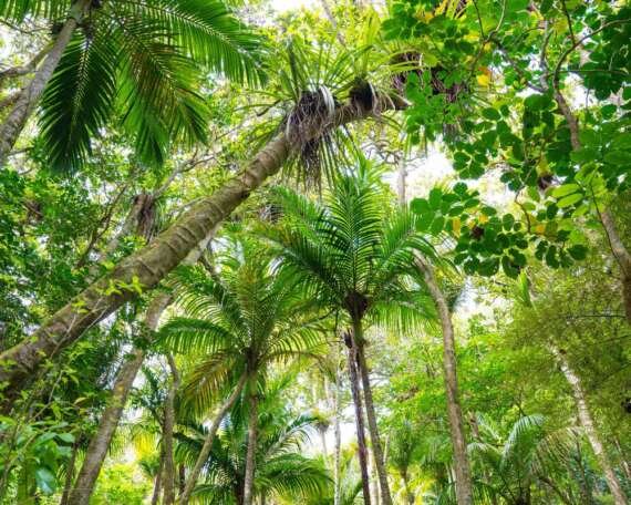 Travel Wellness Trends New Zealand