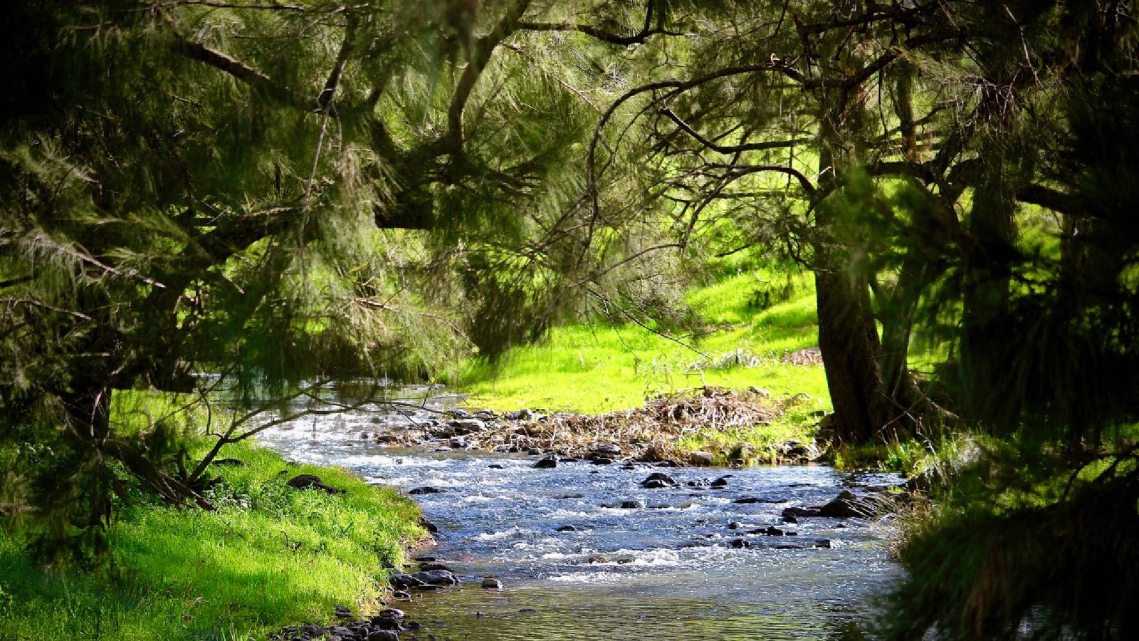 Many Archbald photo of Murrurundi