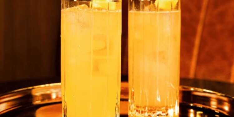 Honey Bee Christmas cocktail