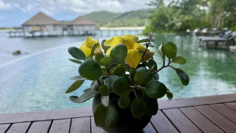 Song Saa Private Island: A sanctuary of barefoot luxury and regenerative living in Cambodia’s Koh Rong Archipelago, where pristine nature, community, and conservation exist in perfect harmony.