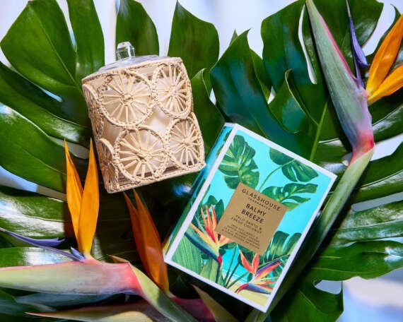Glasshouse Candles