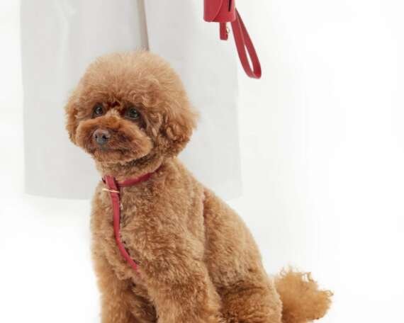 Valentine's Day Gift Ideas